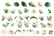 White flower. Watercolor clipart col, a Decorative Illustration by ElenazlataArt (Thumbnail 2 of 9)