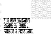 CLAYCOZOA, a Serif Font by Bagerich Type Foundry (Thumbnail 2 of 13)
