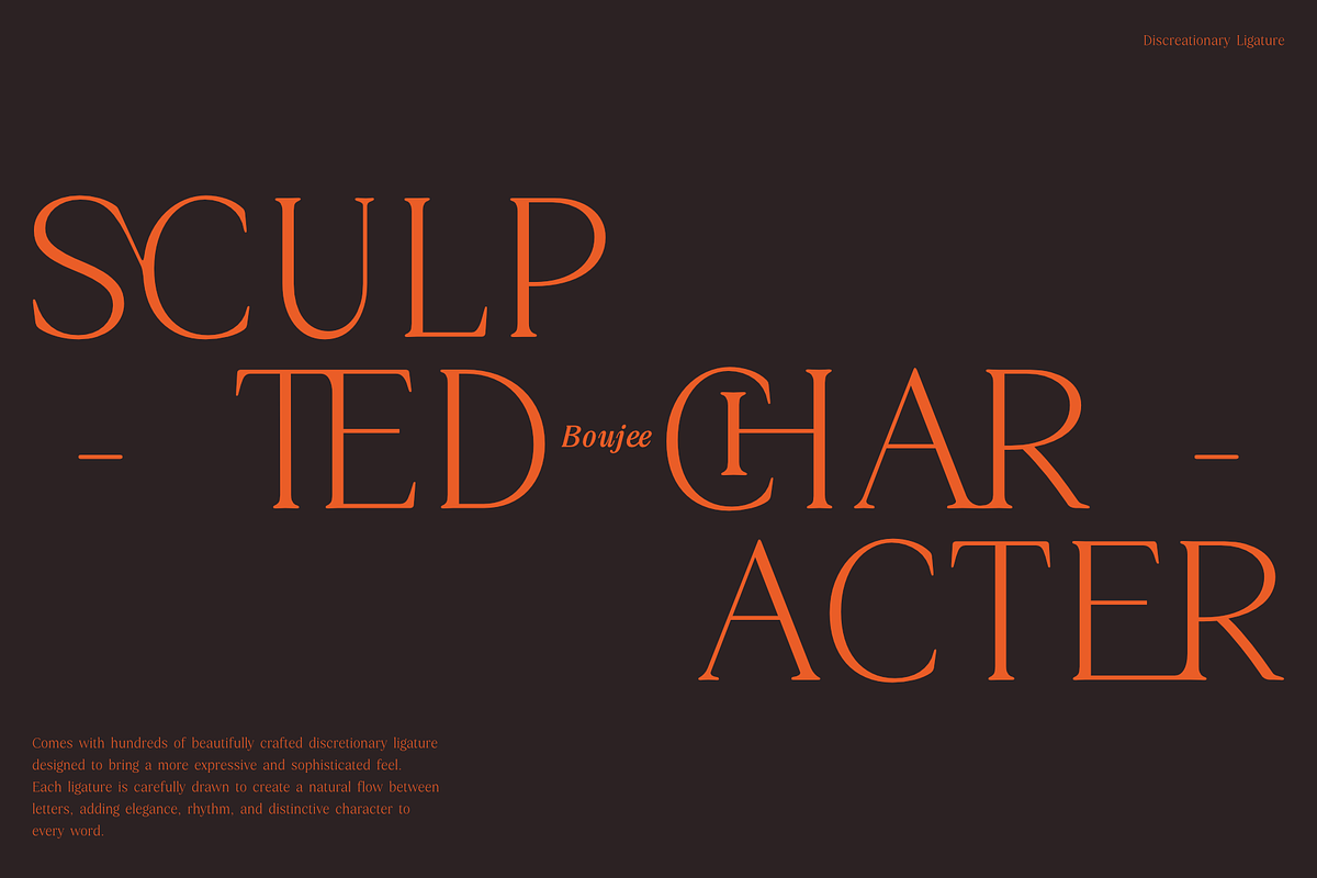 Boujee - Fancy Serif Typefamily, a Serif Font by Jehoo Creative (Photo 3 of 11)