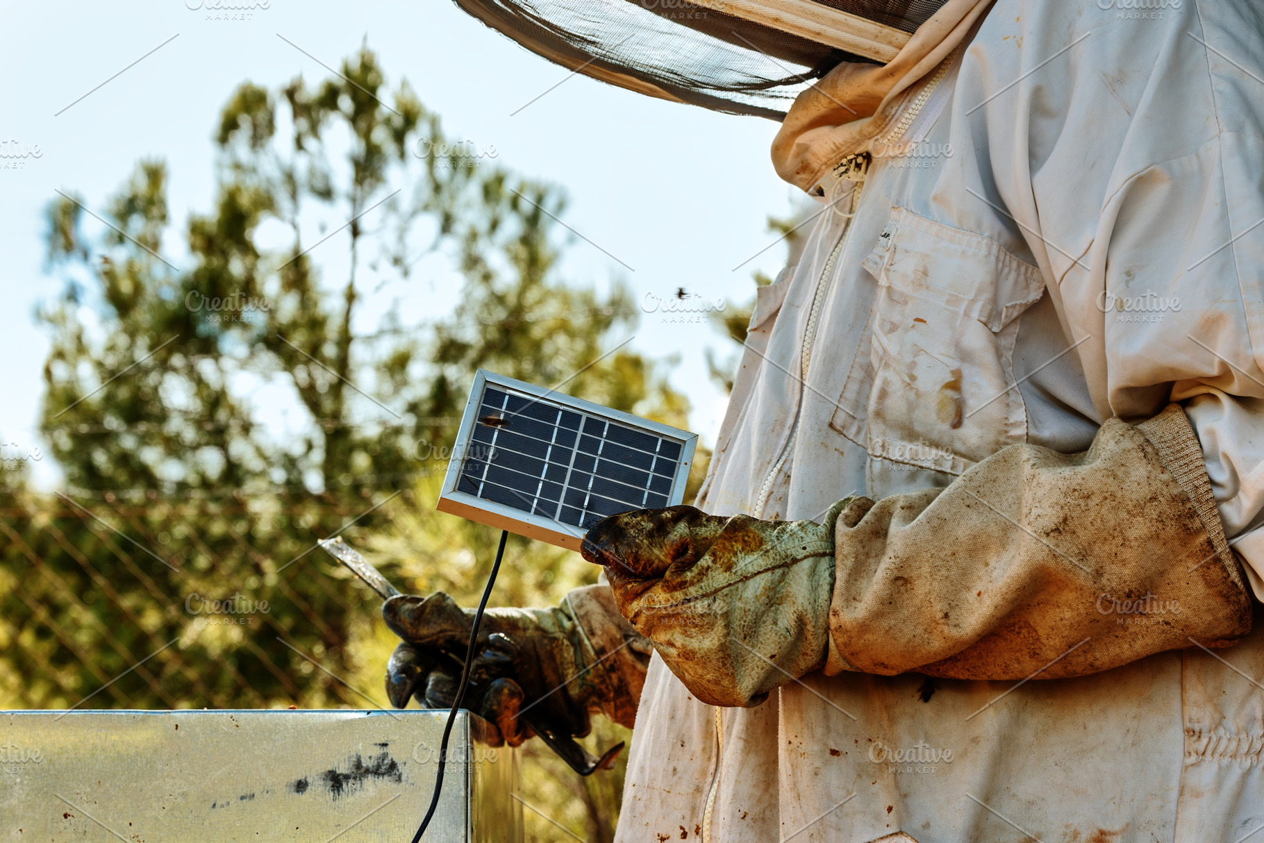 Beekeeper inspecting a smart hive's, a Health & Medical Photo by Perpis