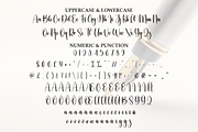 Calligraph | Script Font, a Handwritten Font by Scratchones (Thumbnail 7 of 8)