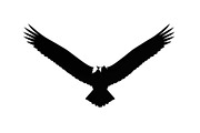 50 Flying Eagle Silhouette Vector Bu, an Illustration by Designs_River (Thumbnail 8 of 51)