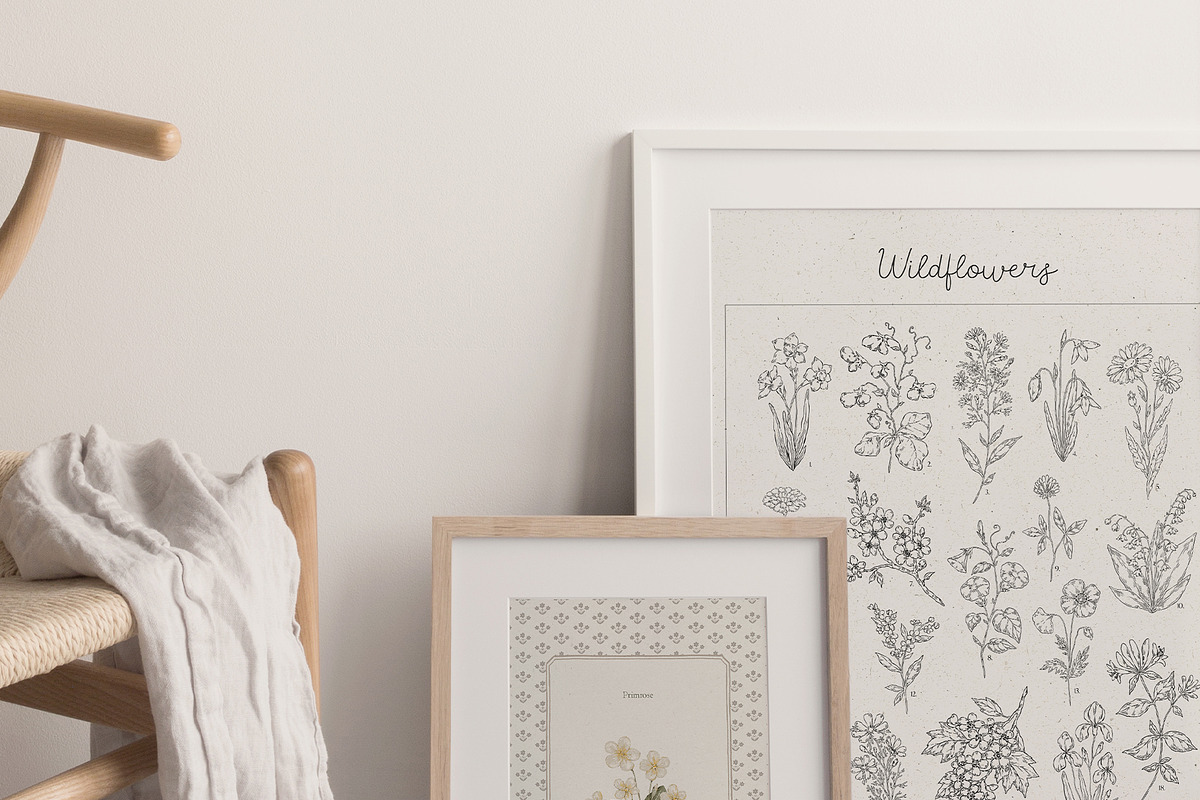 Wildflowers. Hand drawn pencil flora, a Decorative Illustration by Kreker Kate (Photo 4 of 12)
