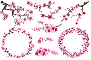 Cherry Blossom Watercolor Collection, a Decorative Illustration by Sveta Aho (Thumbnail 2 of 6)