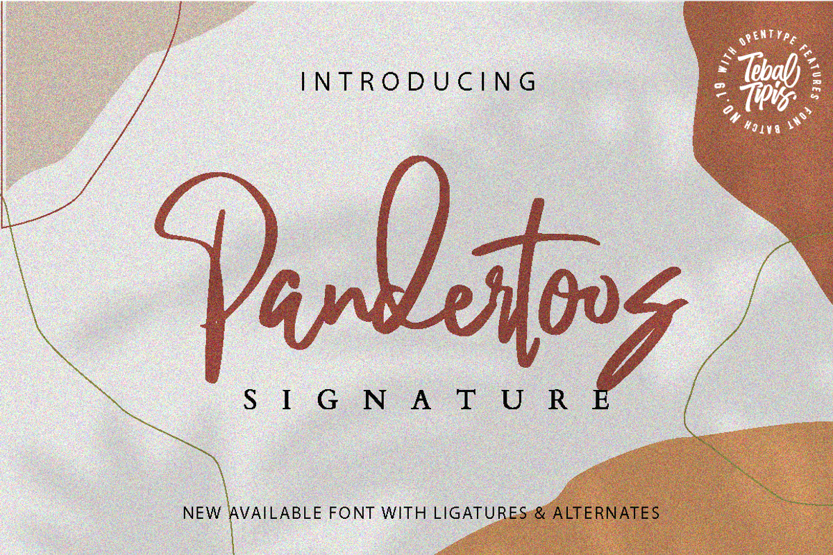 Pandertoos - Handbrush Signature, a Script Font by tebaltipislab (Photo 1 of 11)