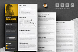 Infographic Word Resume Template