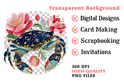 Preppy Summer Crab PNG Clipart, a Seasonal Illustration by Dream Creation (Thumbnail 8 of 8)
