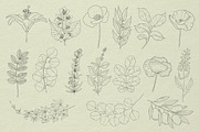 Botanical Procreate stamps, cliparts, a Brush Add-On by Veronika Gotovceva (Thumbnail 4 of 6)