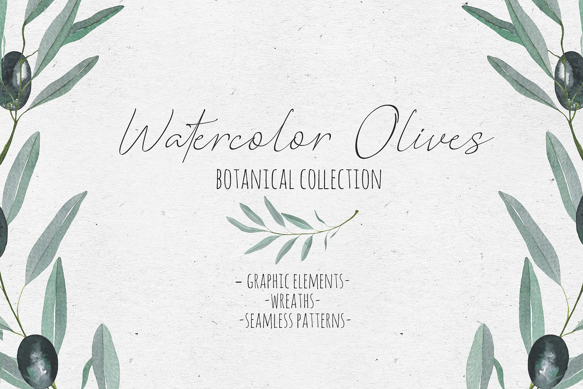 Watercolor Olives, an Illustration by Maria's little shop (Photo 1 of 7)