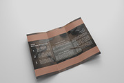 6 Travel  Tri Fold Bochures, a Brochure Template by Creatricks (Thumbnail 13 of 13)