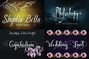 Mega Sales 62 Unique Fonts Bundle, a Script Font by Royaltype (Thumbnail 4 of 18)