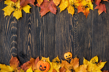 Halloween holiday background featuring halloween, food, and treat, a Holiday Photo by Lopatin Photo