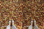 15 Fall Lightroom Presets, a Preset Add-On by TheWayfarerShoppe (Thumbnail 3 of 9)