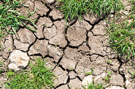 Background stock photo containing ground and dry, an Abstract Photo by Pabkov