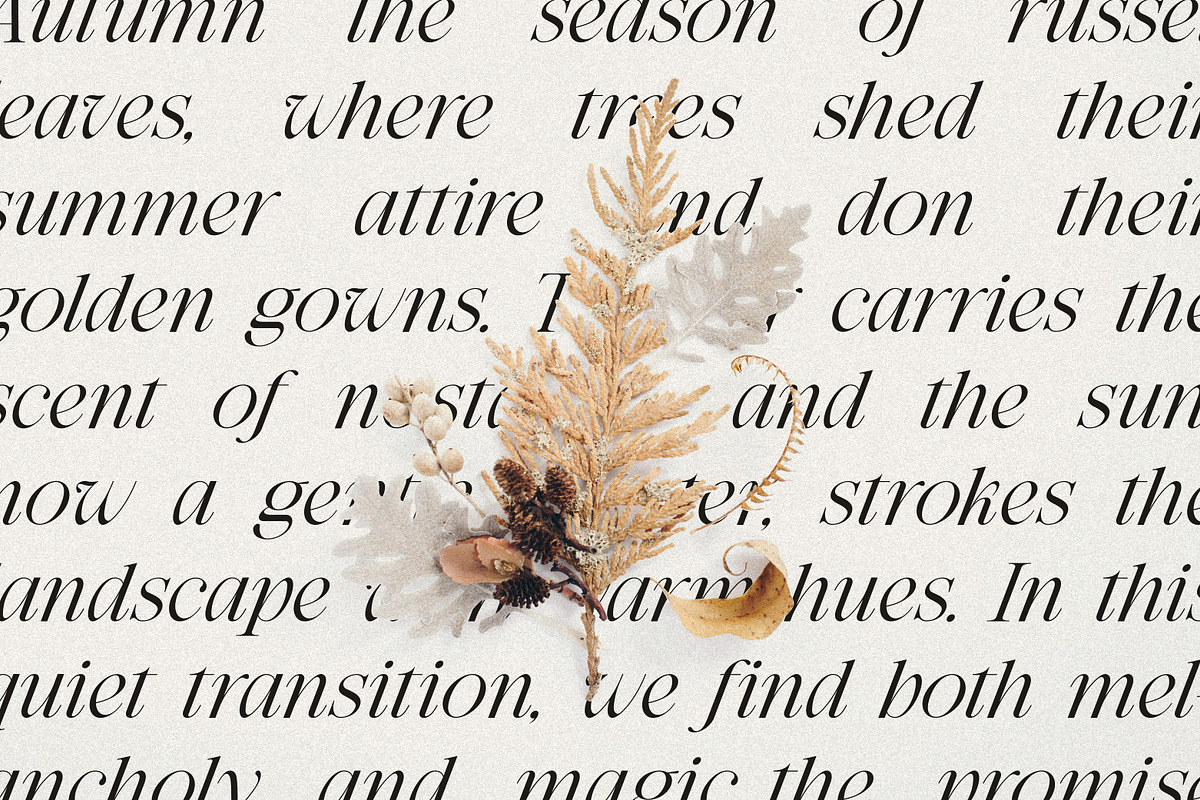 Secret Realm - Editorial Serif Font, a Serif Font by Kahade Studio (Photo 9 of 16)