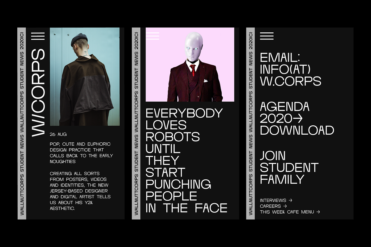 Wallnutt Corps (6 Weights), a Font by Here  FF (Photo 5 of 28)