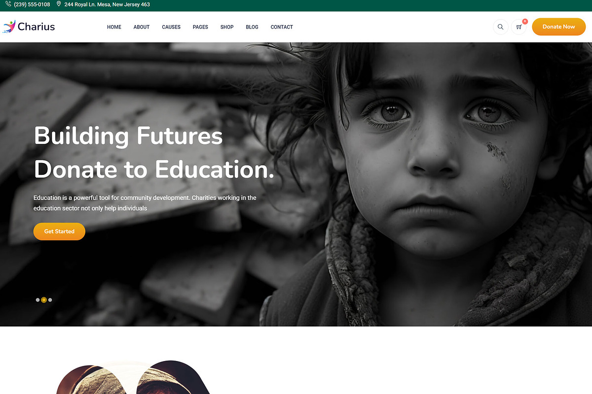Charius - Charity WordPress Theme, a WordPress Template by NaimaAnjum (Photo 4 of 5)