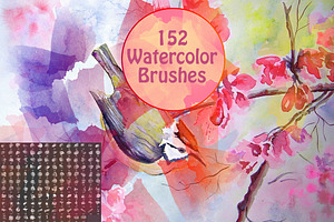 152 Watercolor Brushes