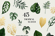 Protea - tropical collection, a Texture Illustration by Backyard Rose (Thumbnail 6 of 22)