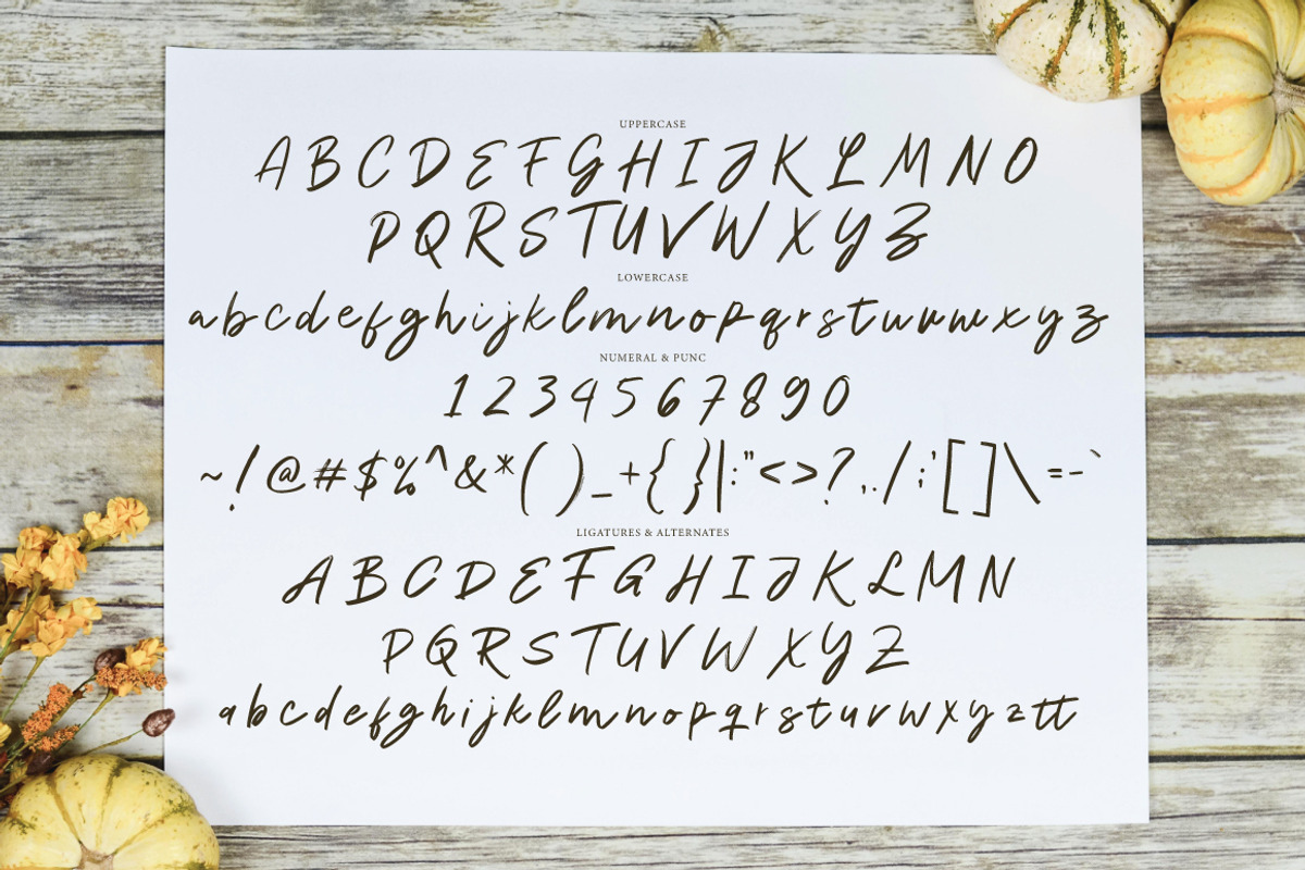 Romasha - Casual Signature Brush, a Handwritten Font by tebaltipislab (Photo 7 of 10)