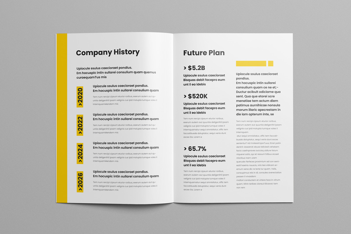White Paper Template, a Brochure Template by Pixelpick