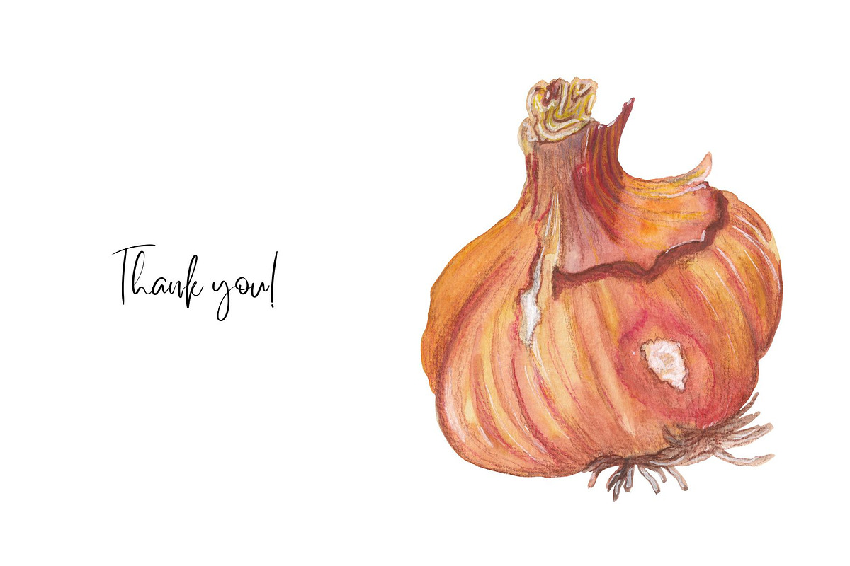 Fruits & Vegetables Hand-drawn set, a Food Illustration by Visual Animal (Photo 3 of 3)