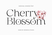 Marginal - A Modern Font, a Serif Font by zeenesia (Thumbnail 12 of 18)