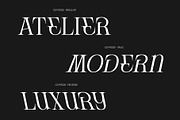 CS Frode – Modern Serif Font, a Serif Font by Craft Supply Co. (Thumbnail 3 of 8)