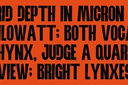 Malstryne - Bold Condensed Sans, a Sans Serif Font by Indotype Foundry (Thumbnail 2 of 10)