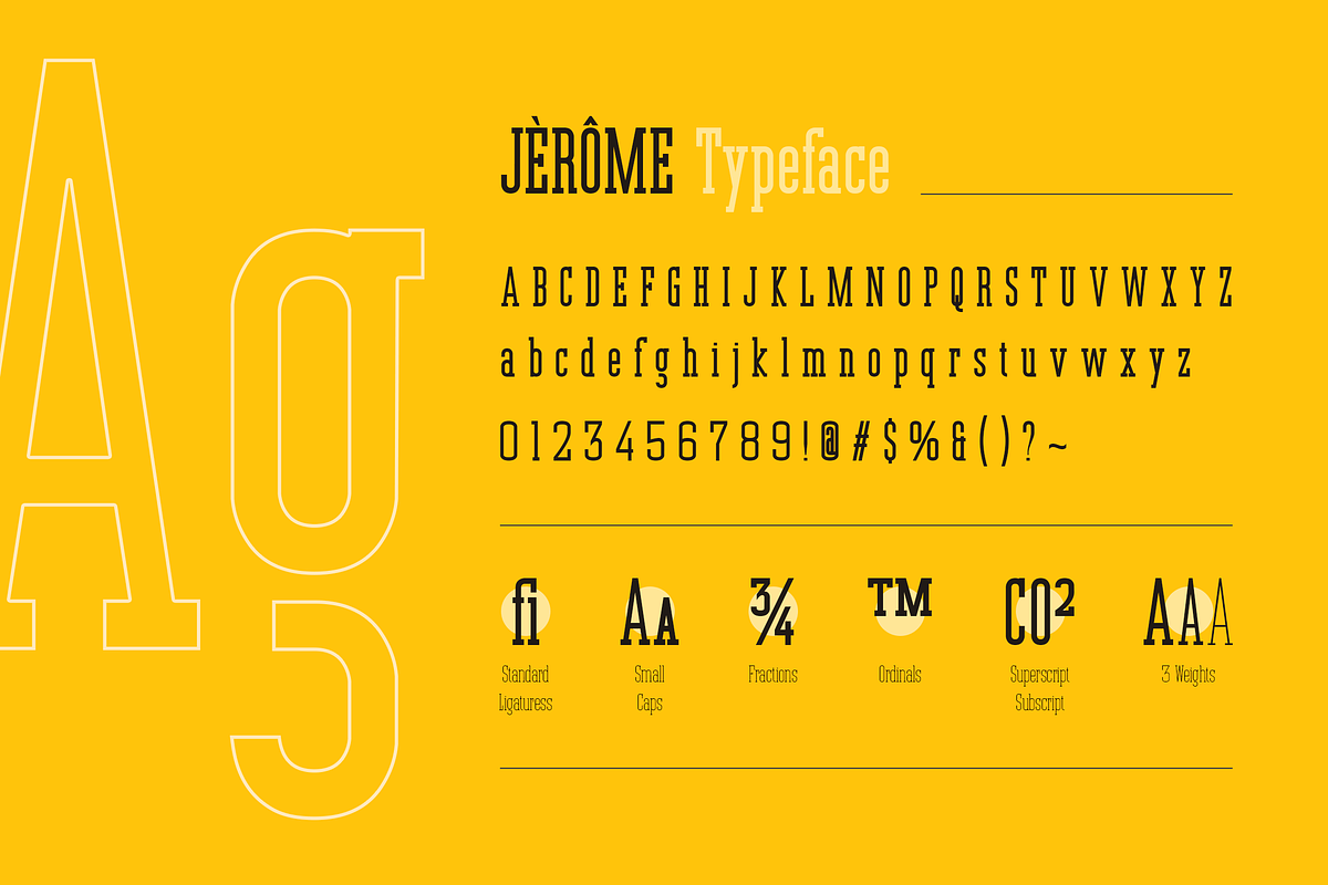 Jerome - Condensed Slab Serif, a Slab Serif Font by peterdraw (Photo 17 of 17)