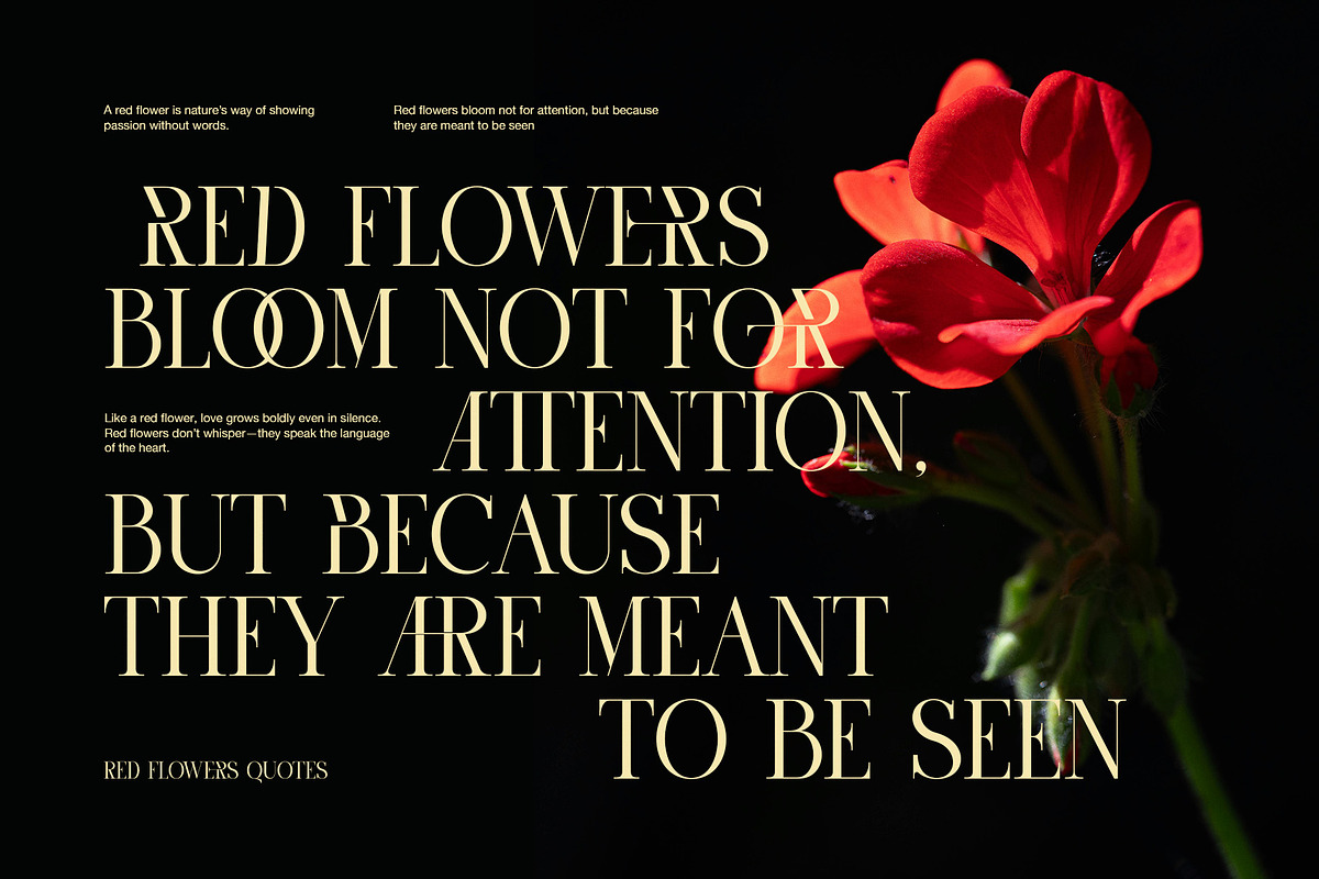 Saore Luxury Ligature Serif Font, a Serif Font by Perfectype (Photo 4 of 8)