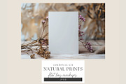Natural Flat Lay Mockups Bundle, a Decorative Illustration by illuztrate (Thumbnail 5 of 15)