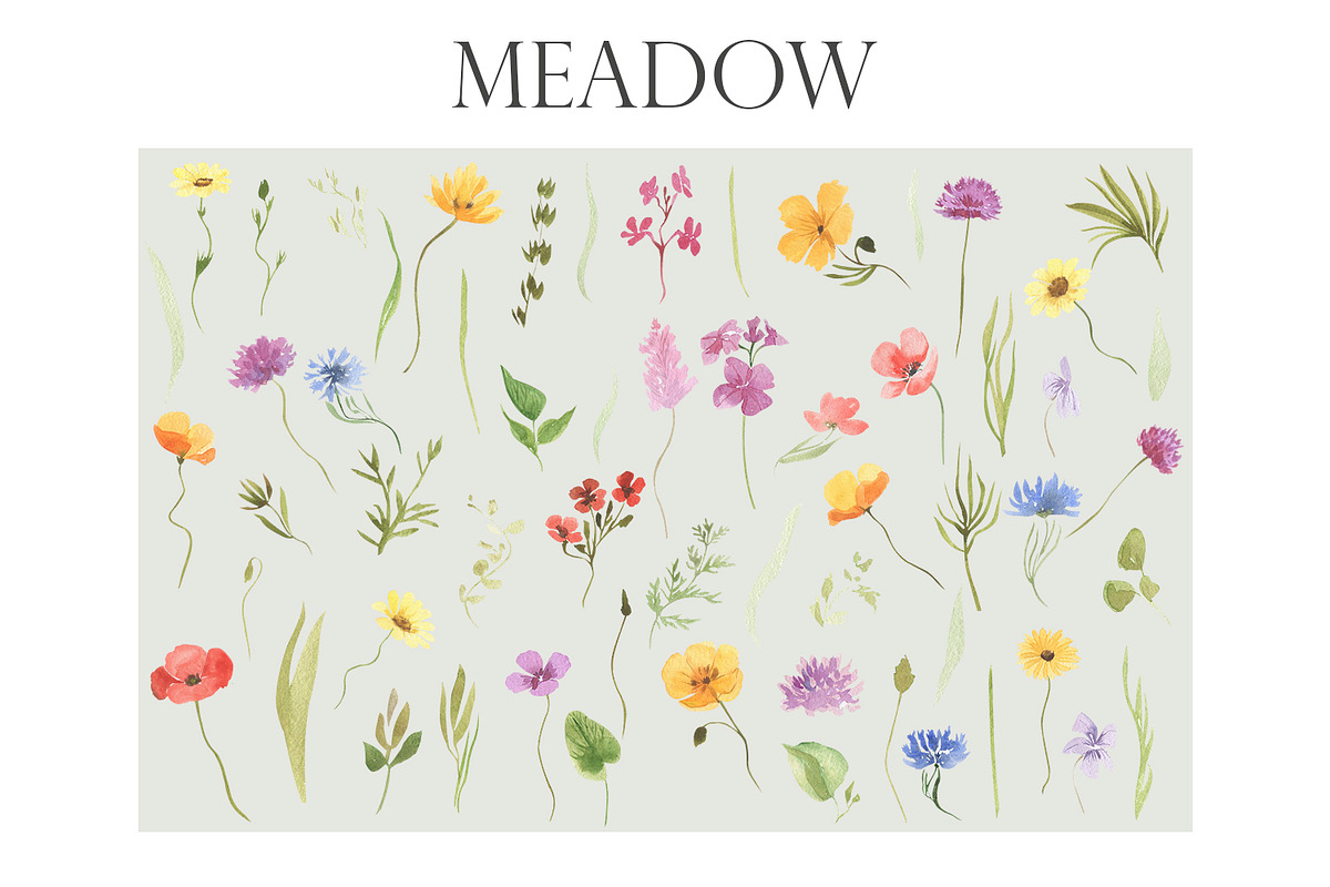 Watercolor meadow, an Illustration by Love Watercolor Store (Photo 2 of 7)