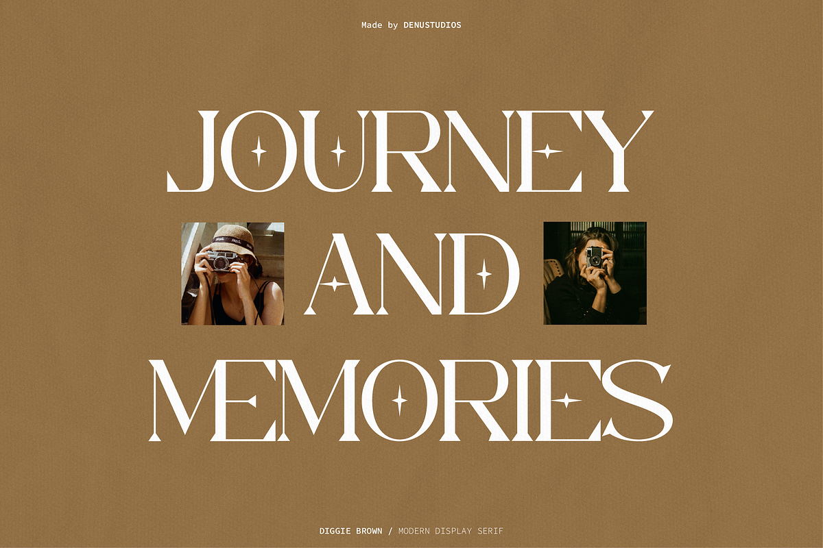 Diggie Brown | Modern Display Serif, a Serif Font by Denustudios (Photo 2 of 12)