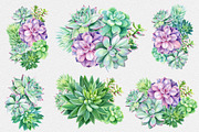 Watercolor Green plants, a Decorative Illustration by Hanna Hryharenka (Thumbnail 4 of 11)