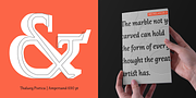 Thalweg Poetica, a Serif Font by Ani Dimitrova (Thumbnail 3 of 15)