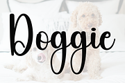 Lightning, a Handwritten Font by FreshTypeINK (Thumbnail 4 of 7)