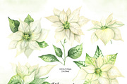 Watercolor white Poinsettia clipart, an Illustration by OlDm_Shop (Thumbnail 2 of 11)