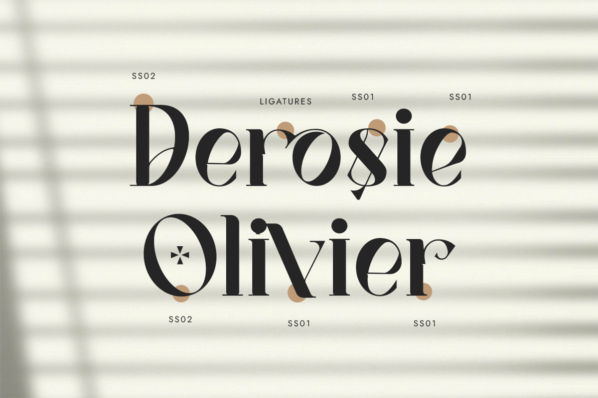 Vagues Elegant Serif, a Serif Font by Creatype Studio (Photo 8 of 10)