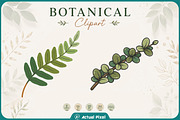 Boho Botanical Leaves Clipart Bundle, a Nature Photo by Actual Pixel (Thumbnail 5 of 21)