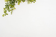 Modern Mockup, Clean Mockups, a Background Photo by BlueBooks (Thumbnail 3 of 14)