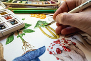Forest Mushrooms Watercolor Clipart, a Decorative Illustration by AnitaPol (Thumbnail 3 of 21)