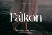 Falkon Modern Serif Font, a Serif Font by Perfectype (Thumbnail 1 of 8)