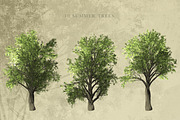 Zelkova Serrata Trees, an Object Graphic by Athlos ArtLab (Thumbnail 5 of 5)