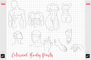 Procreate Pose Anime Body Brush Pack, a Brush Add-On by ArtPrintBabe (Thumbnail 9 of 12)