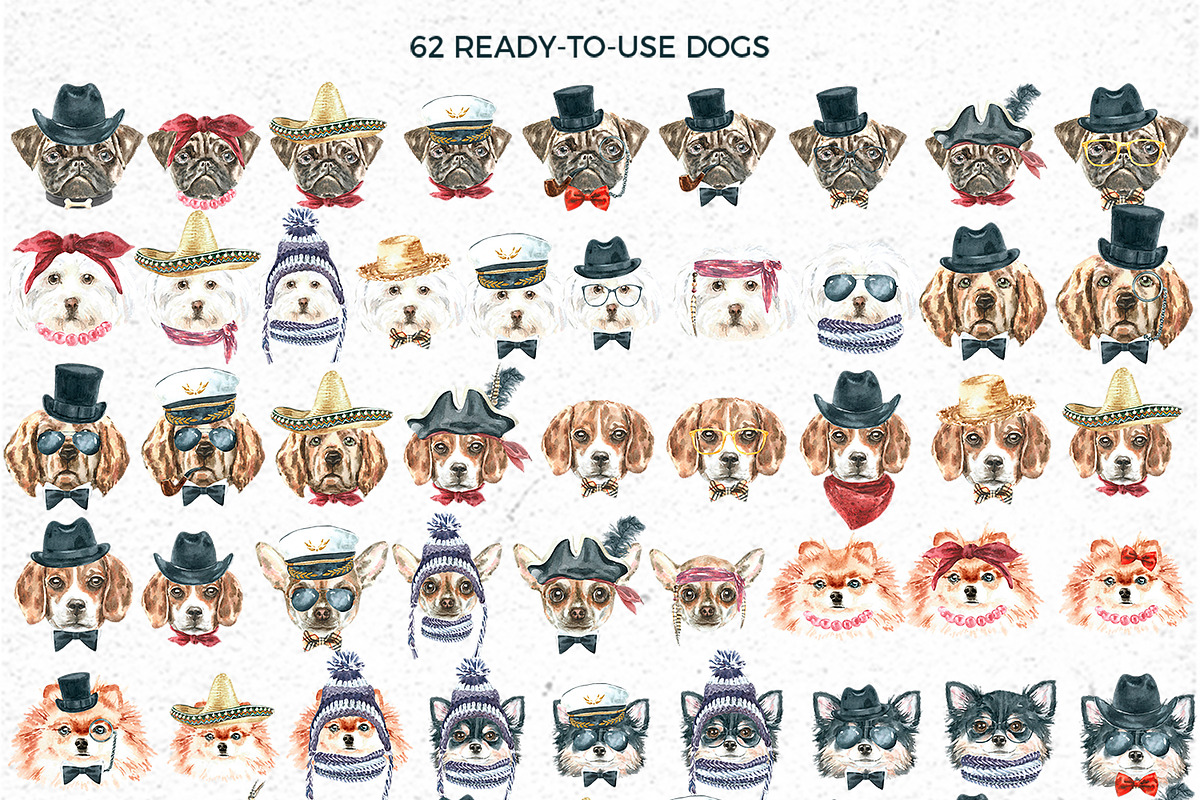 Dog Character Creator Animal clipart, an Animal Illustration by Catherine Wheel (Photo 15 of 19)