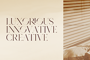Seafont - serif typeface, 25 styles, a Serif Font by VP Fonts (Thumbnail 3 of 15)