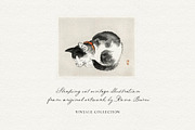 Nightingale Script, a Script Font by Nicky Laatz (Thumbnail 6 of 10)