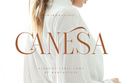 Canesa A Elegant Serif Font, a Serif Font by RantautypeStudio (Thumbnail 1 of 15)