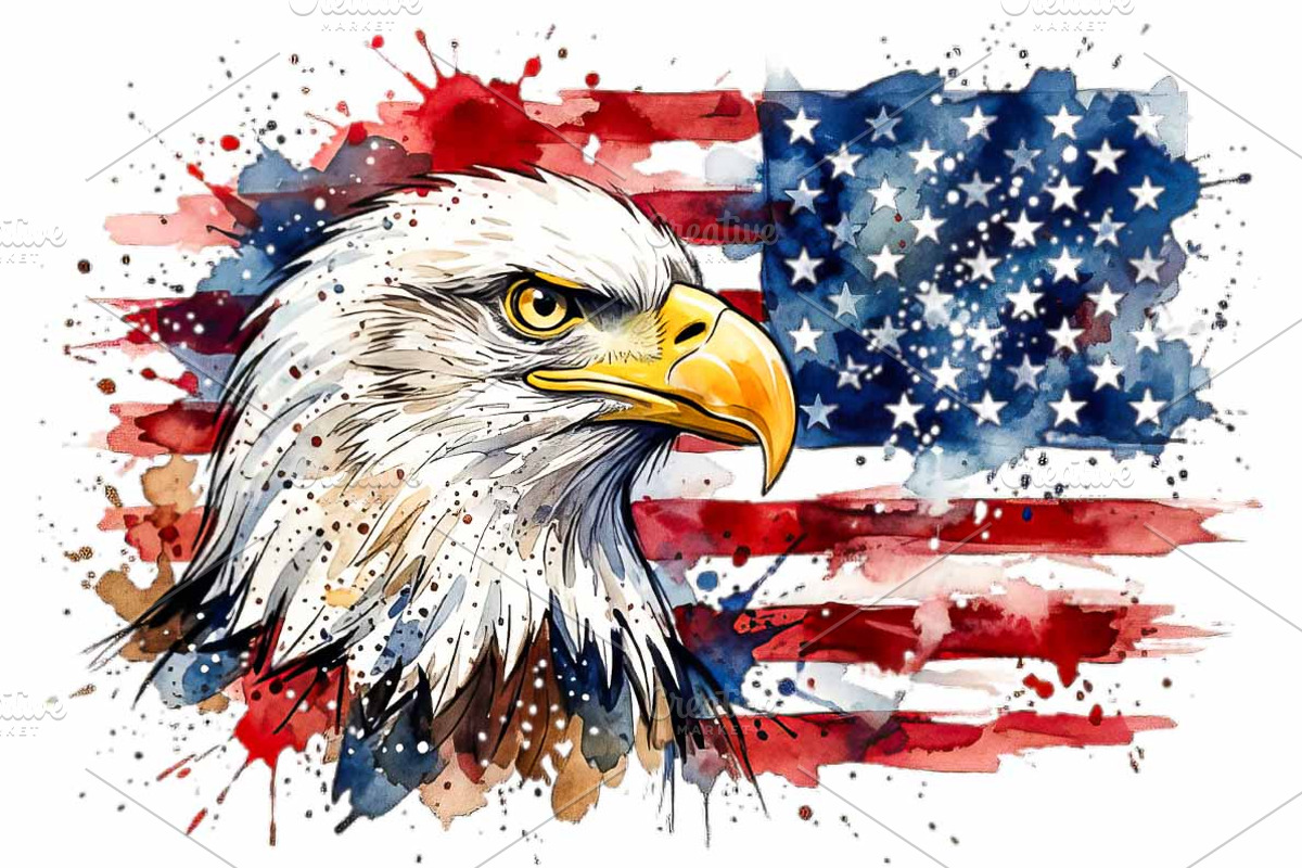 Bald Eagle Watercolor Clipart, an Animal Illustration by VetalStock (Photo 3 of 3)